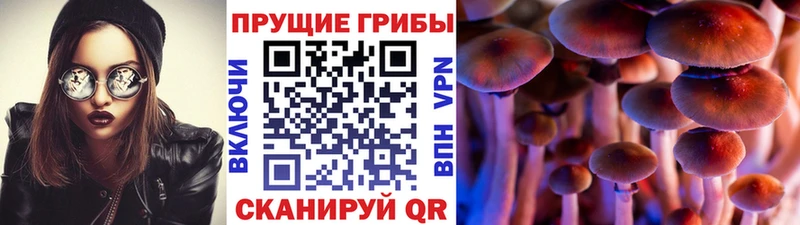 Галлюциногенные грибы Psilocybe  Лагань 